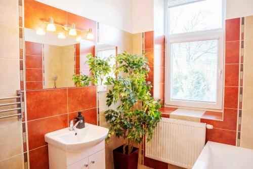 W łazience znajduje się umywalka i lustro. w obiekcie Apartmán u Horynů - Sadová w mieście Česká Třebová