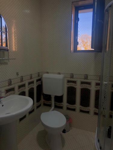 ein Badezimmer mit Toilette und Waschbecken und einem Fenster in der Unterkunft FLORENA HOUSE in Pecineaga