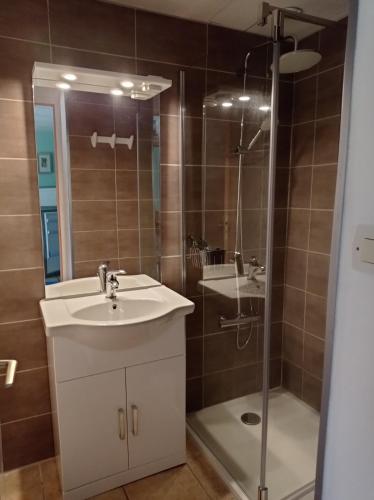 une salle de bain avec un lavabo et une douche dans l'établissement Villa Norica Studio, à Bordezac