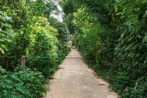 a dirt road in the middle of a forest at Tao House Jungle Boutique Villas in Ahangama