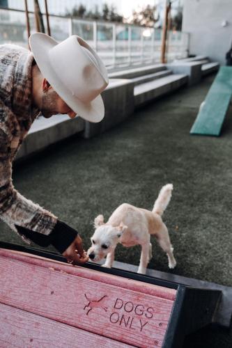 a man in a cowboy hat petting a small dog at Level Los Angeles - Downtown South Olive in Los Angeles