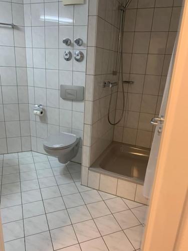 ein Bad mit einer Dusche und einem WC in der Unterkunft Eine gemütliche Einzimmerwohnung in Ostfildern
