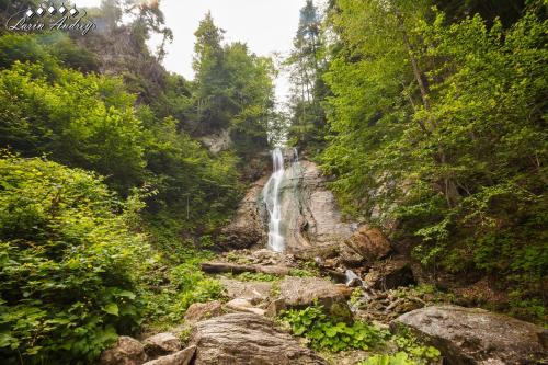 a waterfall in the middle of a forest at Апартаменти БАРВА in Beloberëzka