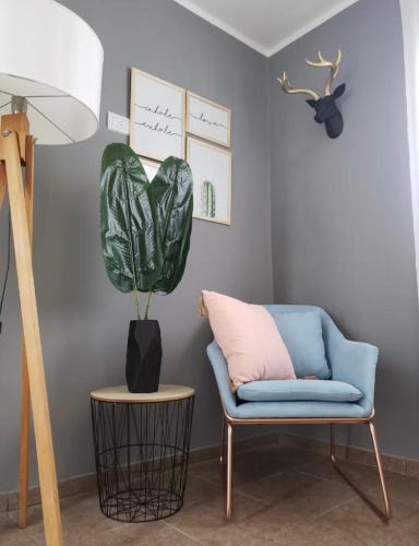 una sala de estar con una silla azul y una planta en Departamento en Rafaela en Rafaela