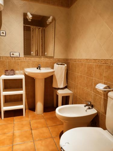 a bathroom with a sink and a toilet and a mirror at La Garzona in Losar de la Vera