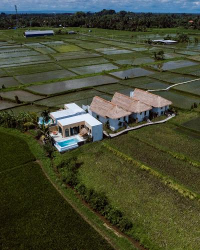 eine Luftansicht eines Hauses auf einem Feld in der Unterkunft Woywoy Escape Samu (Adults Only) in Ubud