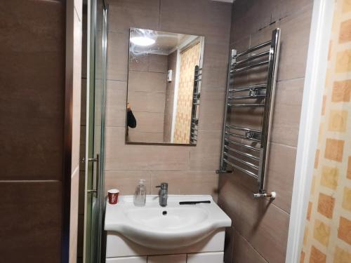 a bathroom with a sink and a mirror at Relevant properties in Welling