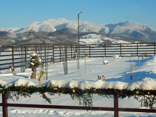 a fence with a christmas tree in the snow at Pensiunea Cetatea Craiului in Râşnov