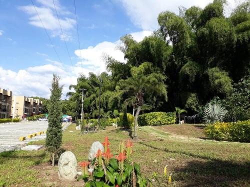 Jardín al aire libre en Apartasol Amor y Café, Reserva de la Colina