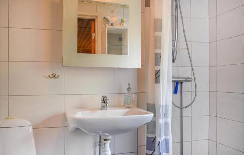 ein Bad mit einem Waschbecken, einem Spiegel und einer Dusche in der Unterkunft Nice Home In Ronneby With Kitchen in Ronneby