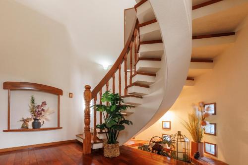 a spiral staircase in a living room with a plant at Laulea YAKA in Kin