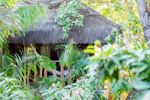 a small hut in a forest with plants at Hurricane Jeri in Jericoacoara