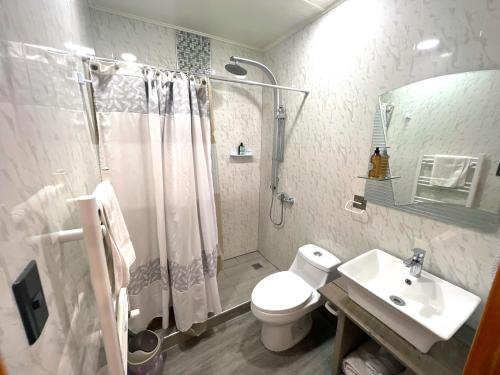 a bathroom with a shower and a toilet and a sink at Incredible Downtown Duplex with Interior Backyard in Punta Arenas