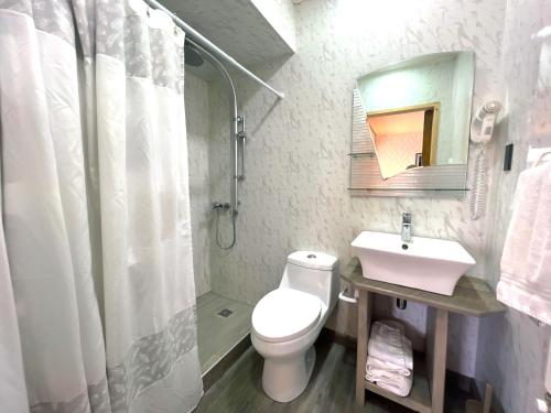 uma casa de banho com um WC, um lavatório e um chuveiro em Incredible Downtown Duplex with Interior Backyard em Punta Arenas
