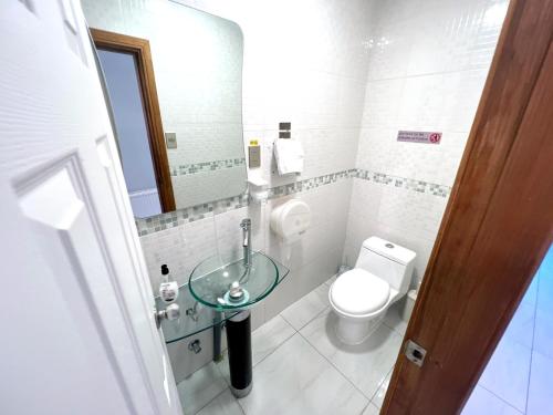 a bathroom with a toilet and a sink and a mirror at Incredible Downtown Duplex with Interior Backyard in Punta Arenas