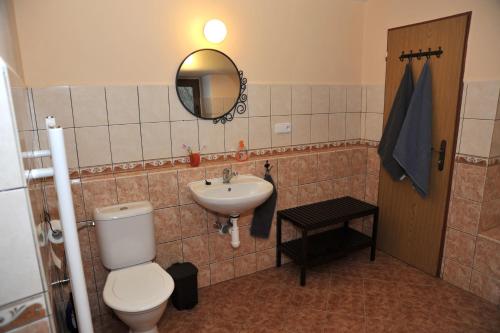 a bathroom with a toilet and a sink at Chalupa Hořice na Šumavě in Hořice na Šumavě