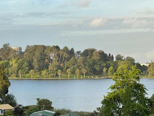 a view of a lake with palm trees and houses at Luxury at the Lake in Hamilton