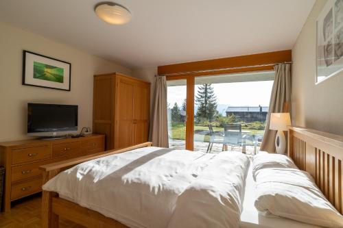 a bedroom with a bed and a television and a window at Edelweiss Slope Side in Flims