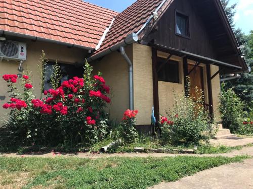 a house with red flowers in the front yard at Salaš Striber in Vrbas