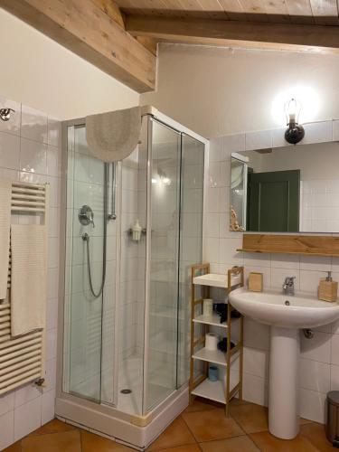 uma casa de banho com um chuveiro e um lavatório. em La Casina em Dello