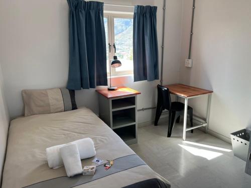Un dormitorio con una cama y un escritorio y una ventana. en Table Mountain Inn, en Ciudad del Cabo