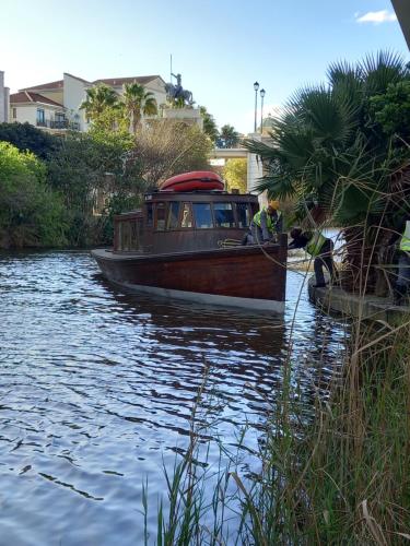 a boat is docked on a river next to a palm tree at ALTAIR . Wooden Boat . Cape Town in Cape Town