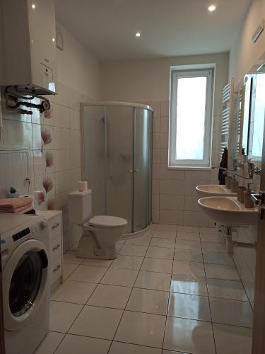 a bathroom with a shower toilet and a washing machine at Holiday House Adrelot in Heřmaničky