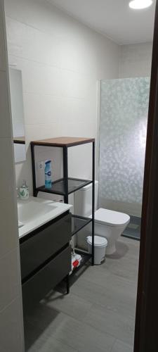 bagno con lavandino e servizi igienici di La Espiga a Valladolid