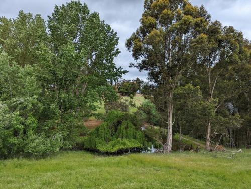 Paisaje cerca de este apartamento