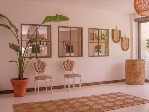 two chairs and a plant in a room with mirrors at Monta Verde Hotel & Villas in Oludeniz