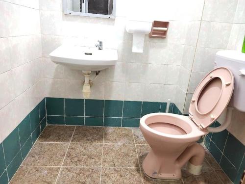 ein Badezimmer mit einem rosa WC und einem Waschbecken in der Unterkunft 5578 Kulai indahpura 3RM 10pax near ipark, JPO and JB airport in Kulai