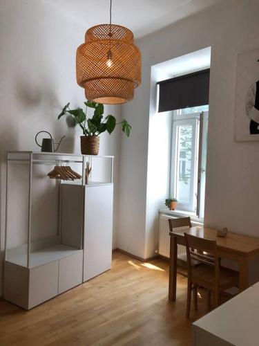 Neues, gemütliches Studio im Zentrum in Ruhelage