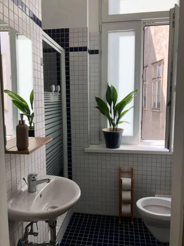 Neues, gemütliches Studio im Zentrum in Ruhelage