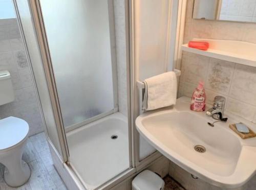 a bathroom with a shower and a sink and a toilet at Ferienwohnung Am Schwanenteich in Norden
