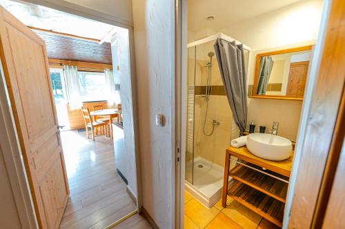 a bathroom with a sink and a shower and a mirror at Gite le Grand Renaud in Le Bourg-dʼOisans