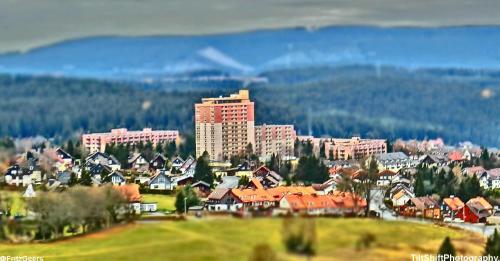 a view of a city with buildings and houses at FeWo Eisblume. Erholung im wunderschönem Harz! in Altenau