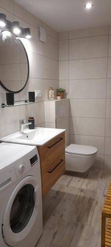 een badkamer met een wasmachine en een wastafel bij Baza wypadowa 3 in Leśna