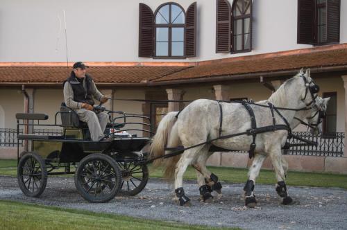 Huéspedes de Castle Hotel Daniel