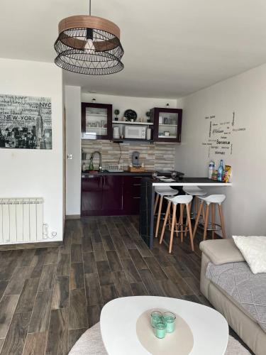 un salon avec un canapé et une cuisine dans l'établissement Superbe maison Tout Confort Parking Netflix, à Ascoux