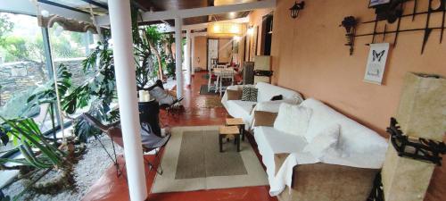 ein Wohnzimmer mit weißen Sofas und Pflanzen in der Unterkunft Casa Finca Doñana in Arucas