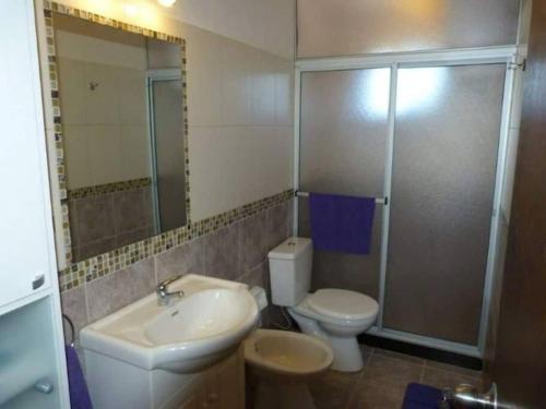a bathroom with a sink and a toilet and a shower at Casa frente al mar Violeta, 5 personas un paraíso divino!!! in Punta del Este