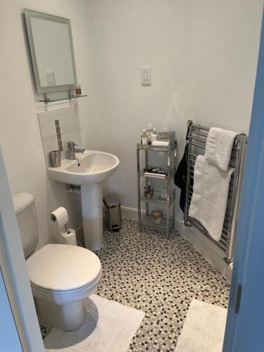 La salle de bains est pourvue de toilettes blanches et d'un lavabo. dans l'établissement Peterborough, Hampton Vale Lakeside En-Suite Large Double bedroom with great modern facilities, à Peterborough
