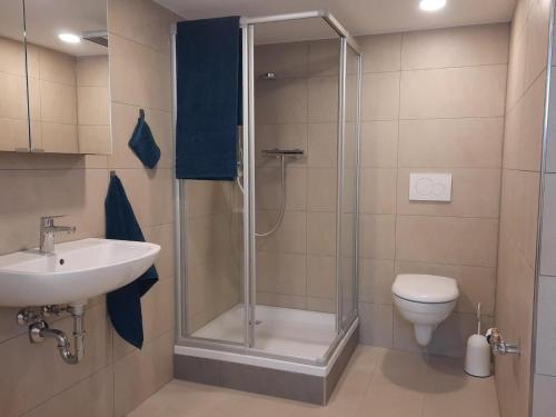een badkamer met een douche, een wastafel en een toilet bij Haus Amann in Prackenbach
