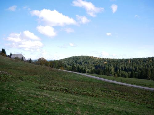 a road in the middle of a field with trees at Rinken 9 in Hinterzarten