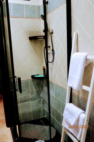 a shower with a glass door in a bathroom at B & B CA’ D’ OLINA in Pavullo nel Frignano
