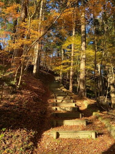 a set of stairs in a forest with trees at Takayama Ninja House in Takayama