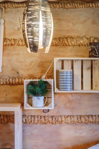 a potted plant sitting on a shelf in a room at WIlla JODŁA JACUZZI&SAUNA in Poronin