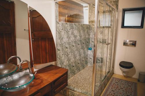 a bathroom with a shower with a sink and a toilet at The Boho Cave in Cape Town