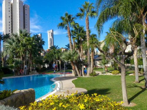 a swimming pool in a park with palm trees and buildings at Gemelos 22 - Siroco in Benidorm