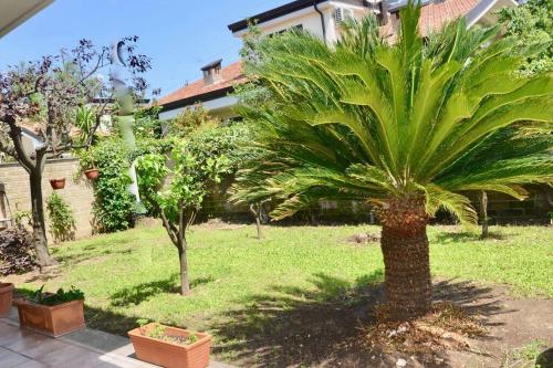 a palm tree in a yard next to a building at Ameno house in Casale SantʼAntonio